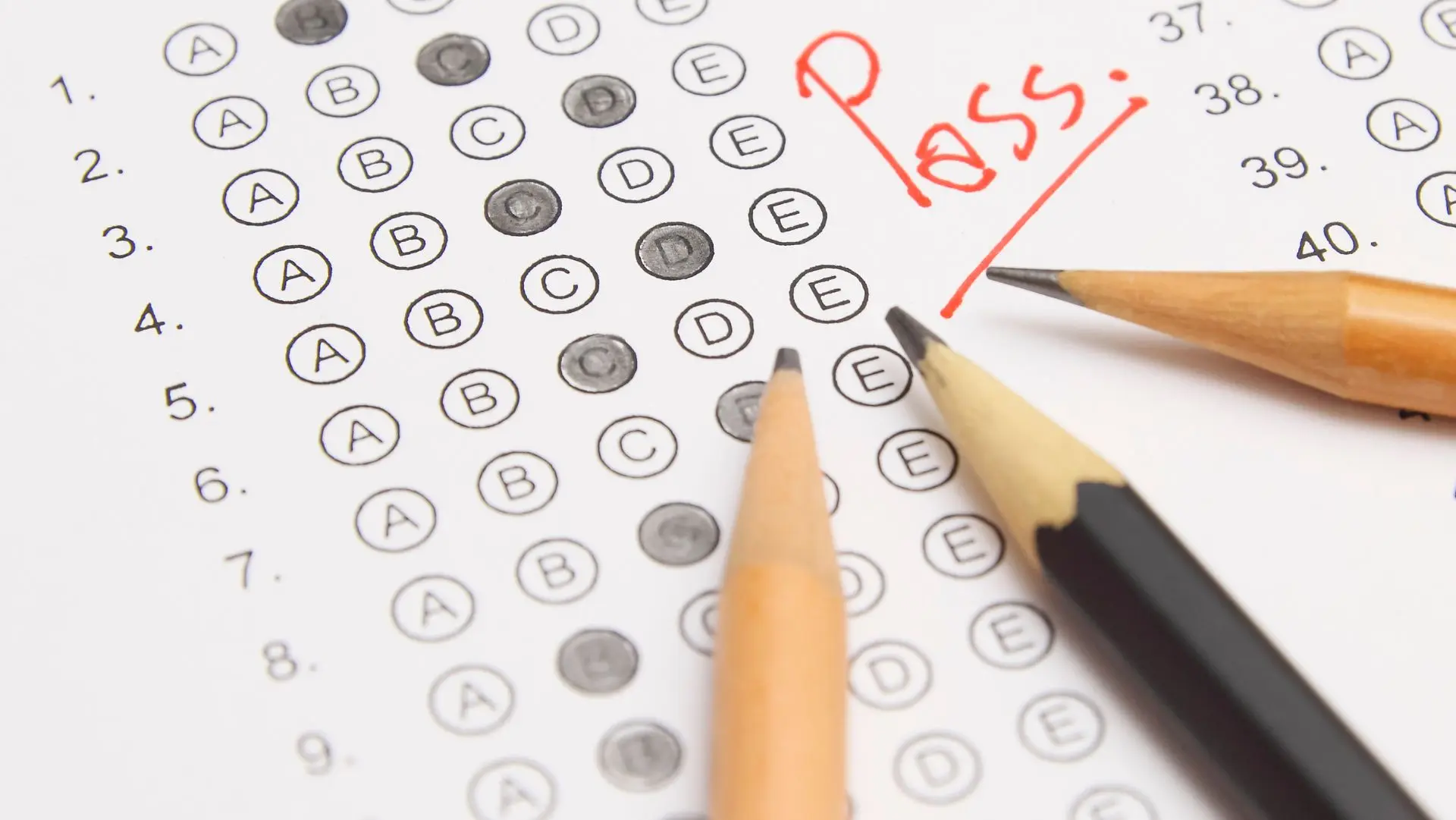 Bạn nên lực chọn ngôn ngữ thi TestAS phù hợp với mình nhất