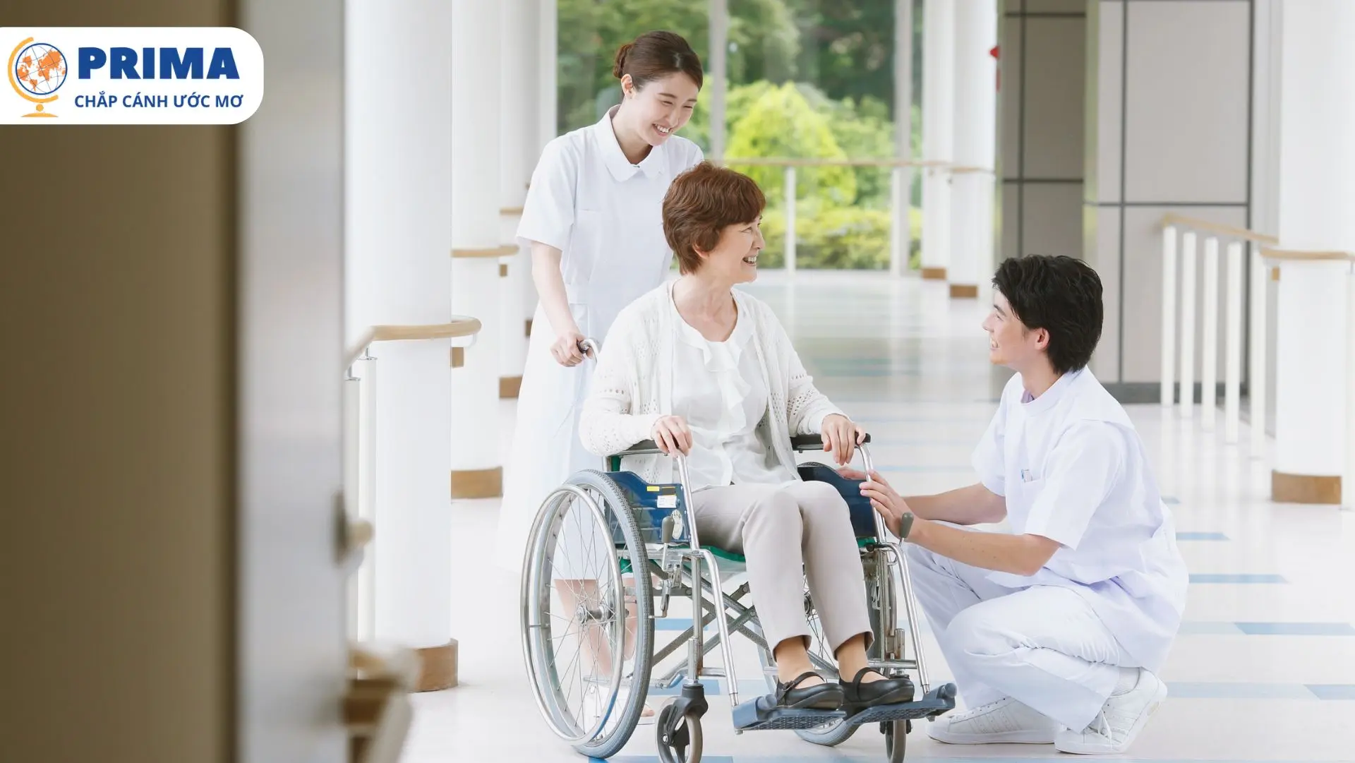 Ngành Điều dưỡng ở Đức luôn khát nhân lực