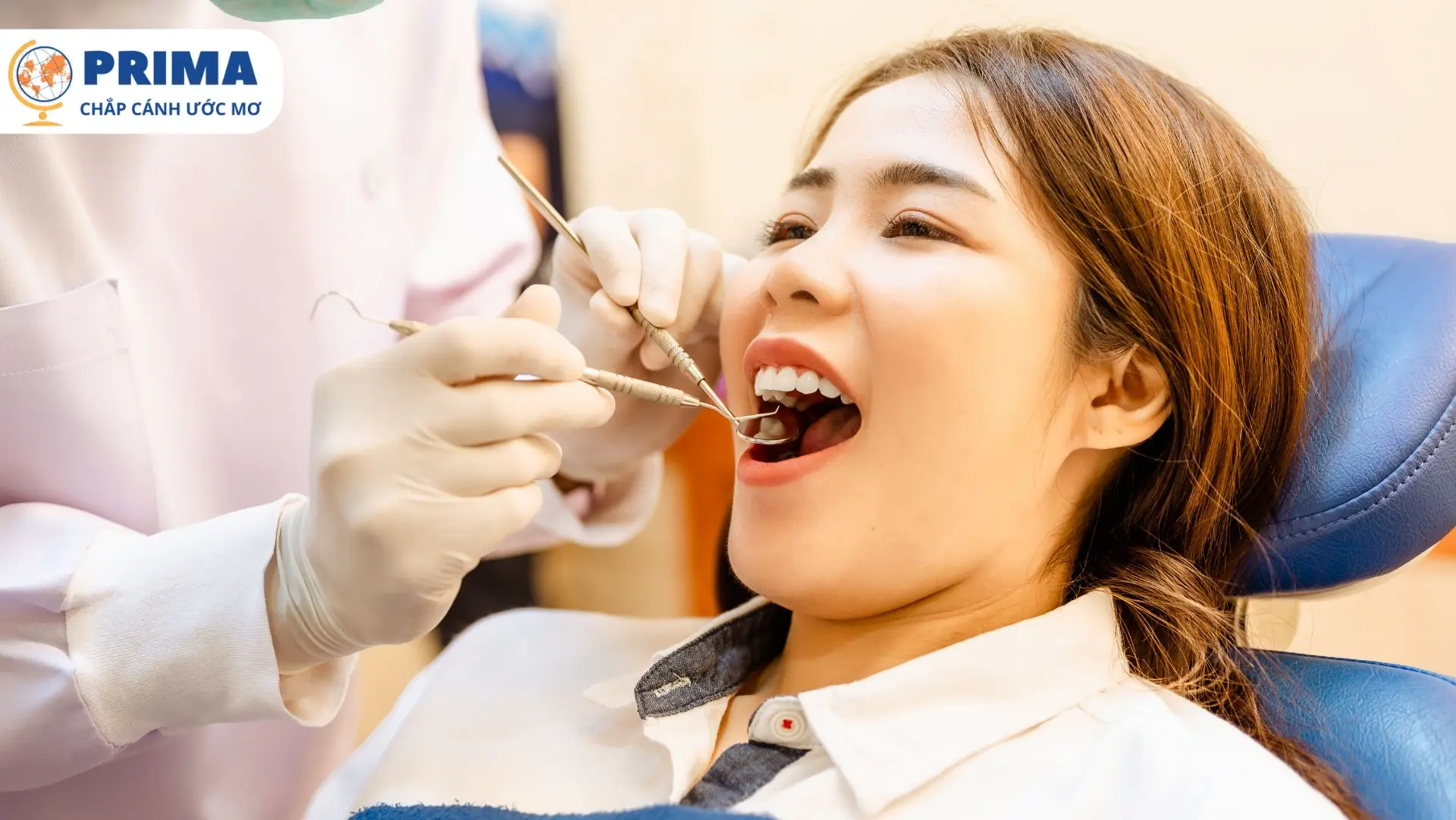 Sau khi tốt nghiệp, học viên ngành trợ lý nha khoa có cơ hội định cư lâu dài