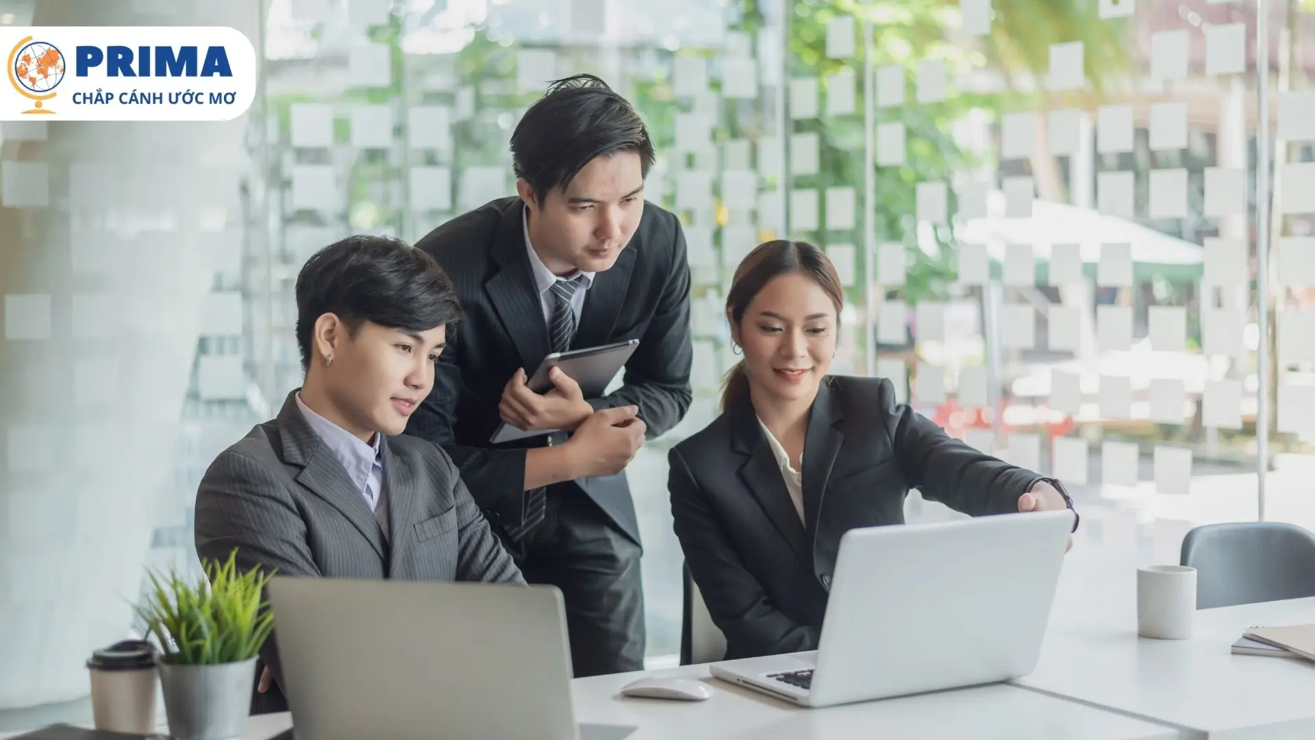 Du học nghề Đức ngành kinh doanh bao gồm nhiều ngành nghề đào tạo khác nhau