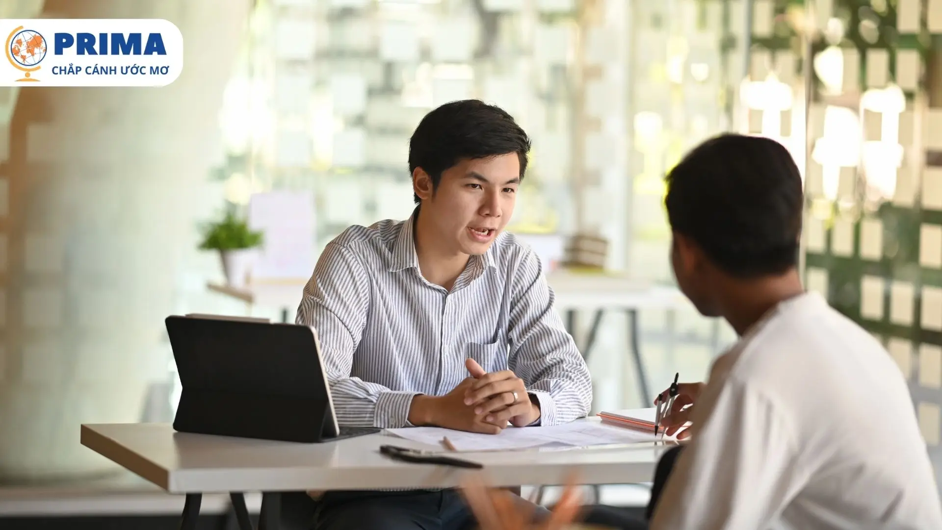 Người làm ngành du lịch làm công việc như tư vấn điểm đến, lịch trình và các sản phẩm du lịch